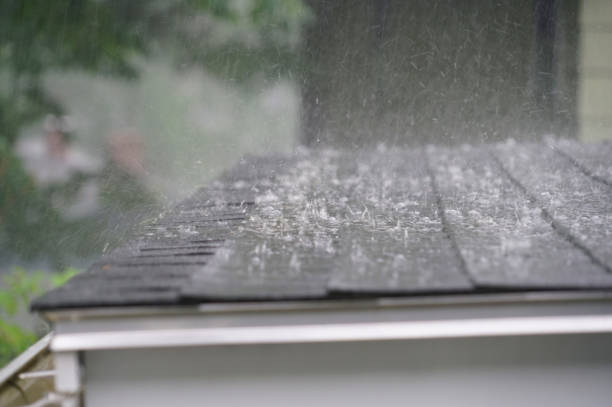 Best Roof Coating Services  in Wailea, HI